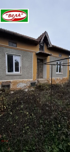 ������ ������� ����