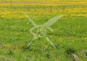 Плот Асеновград, регион Пловдив