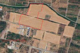 ������� ������ | Imot.bg � ����� ������ 2