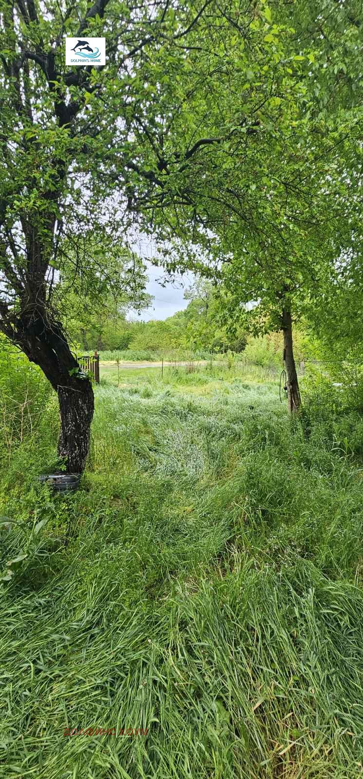 Продава КЪЩА, с. Муселиево, област Плевен, снимка 6 - Къщи - 54430087