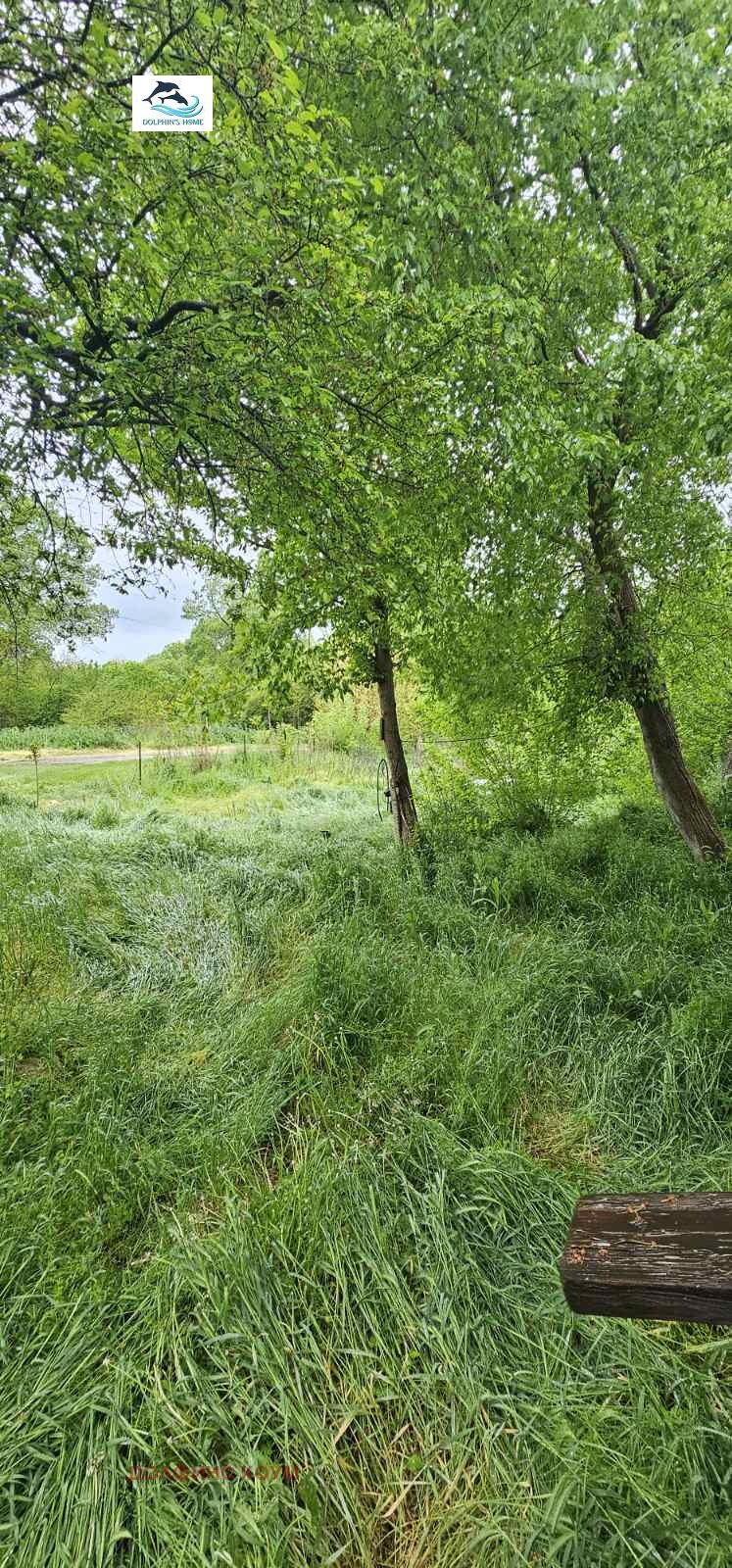 Продава КЪЩА, с. Муселиево, област Плевен, снимка 7 - Къщи - 54430087