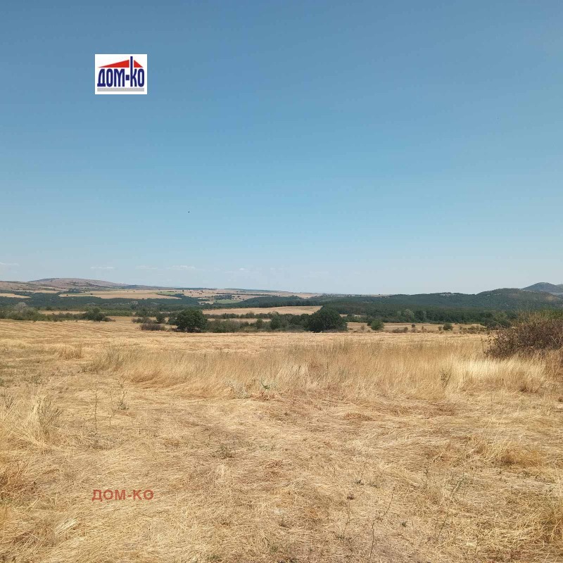 For Sale  Plot region Pazardzhik , Levski , 915 sq.m | 90633468