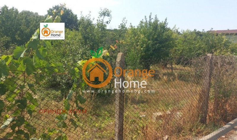 Продава  Парцел област Добрич , с. Оброчище , 500 кв.м | 29732040 - изображение [7]