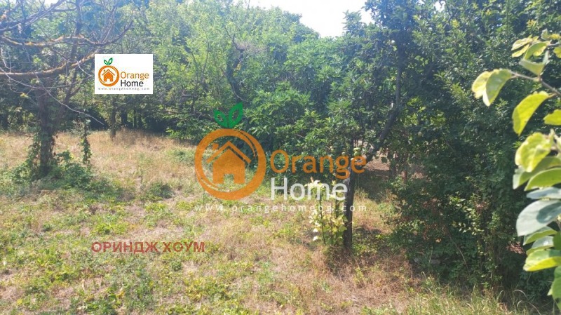 Продава  Парцел област Добрич , с. Оброчище , 500 кв.м | 29732040 - изображение [5]