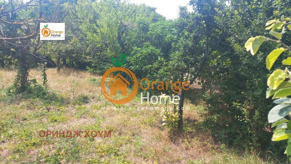 Продава ПАРЦЕЛ, с. Оброчище, област Добрич, снимка 5 - Парцели - 53919977