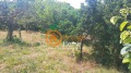 Продава ПАРЦЕЛ, с. Оброчище, област Добрич, снимка 5