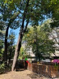 Продава 2-СТАЕН, град София, Илинден • 170000 € • 56468965 — Holmes.bg