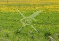 Продава ПАРЦЕЛ, област Пловдив, гр. Асеновград • 34500 € • 79293235 — Holmes.bg