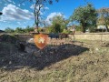 Продава ПАРЦЕЛ, област Велико Търново, с. Добри дял • 15900 € • 49457527 2