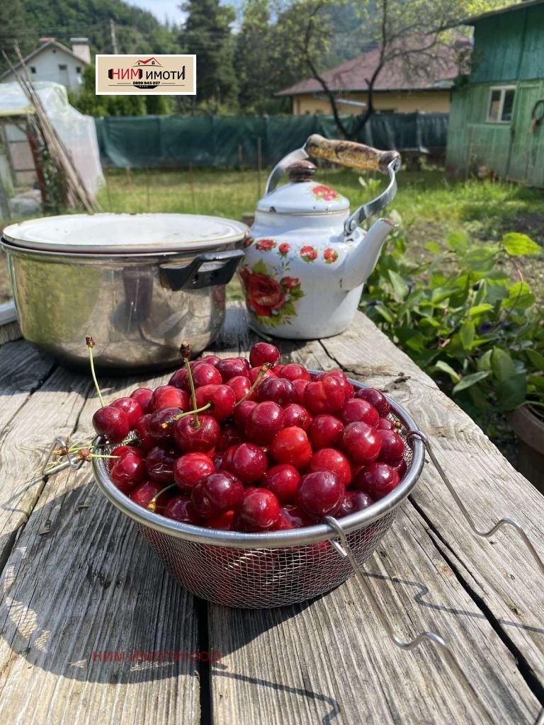 ������� ���� | Imot.bg � ����������� 17