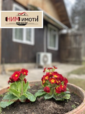 ������� ���� | Imot.bg � ����� ������ 16