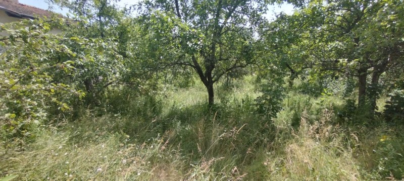Продава  Парцел област Перник , с. Байкалско , 1400 кв.м | 92315966 - изображение [7]