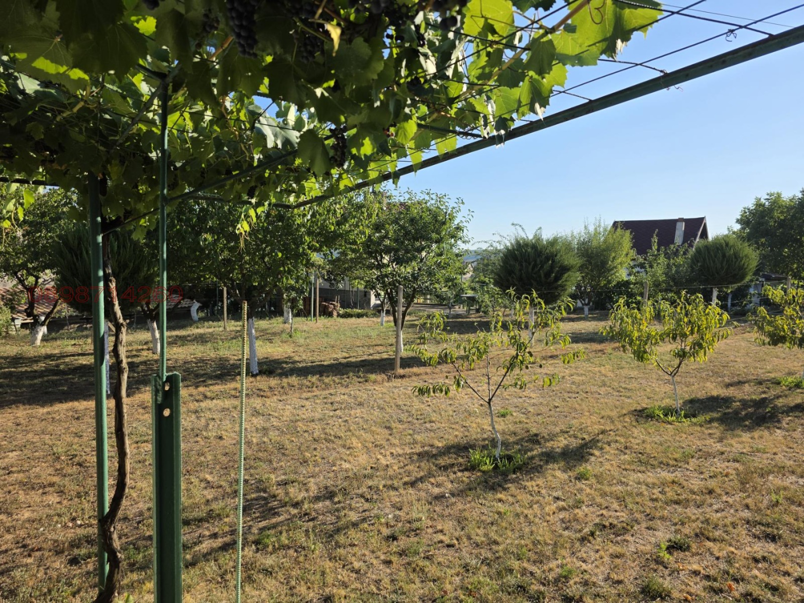 ������� ���� | Imot.bg � ����������� 12