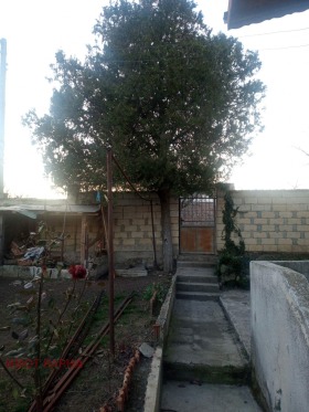 Casa Bliznați, regiunea Varna