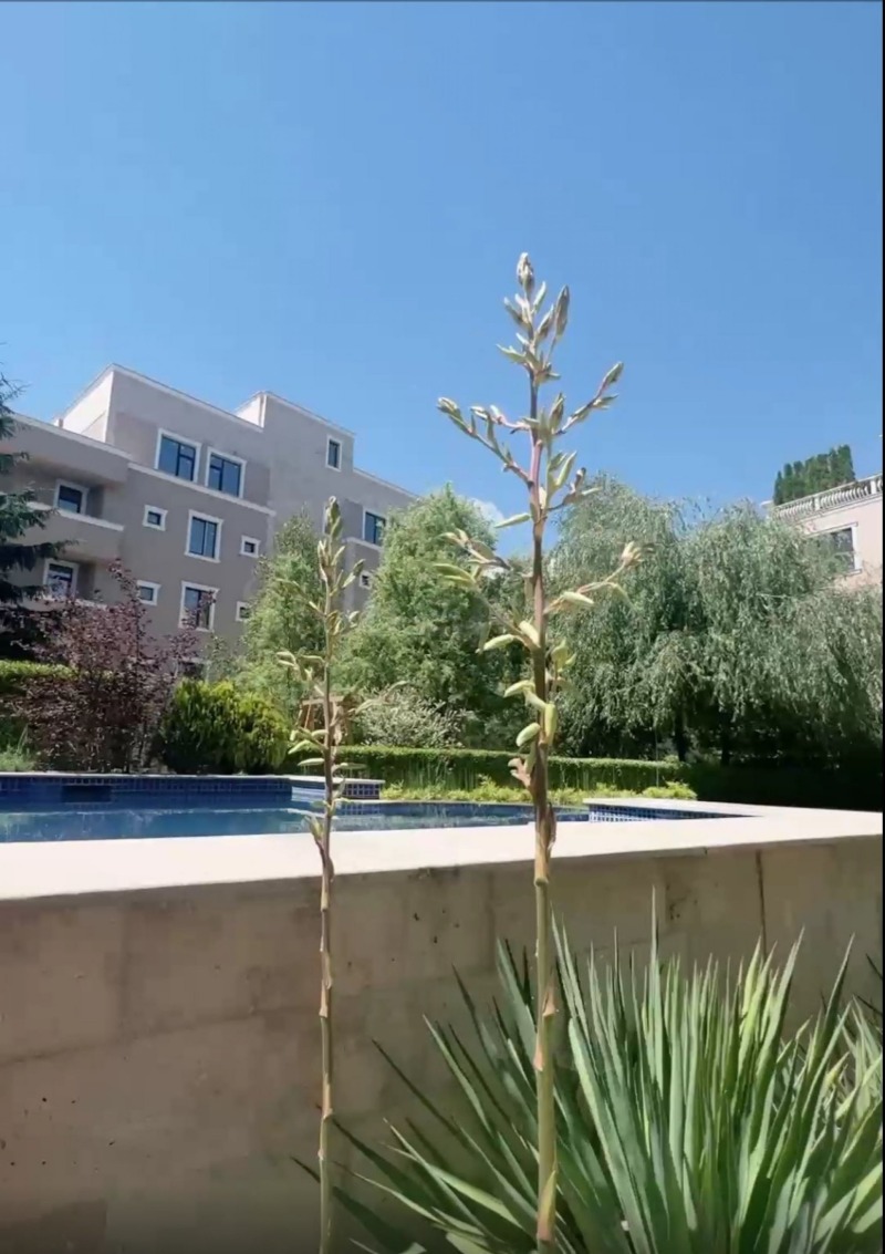 Продава МЕЗОНЕТ, гр. София, Витоша, снимка 6 - Апартаменти - 52233619