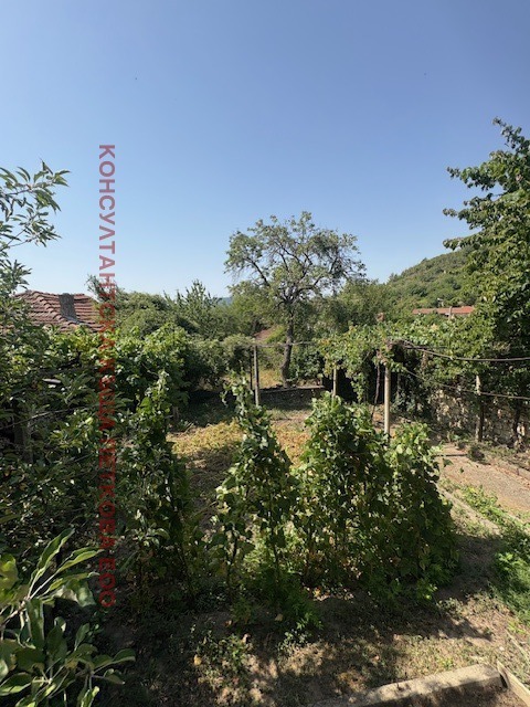 Eladó  Ház régió Veliko Tarnovo , Suhindol , 44 négyzetméter | 67781668 - kép [3]