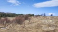 Продава ПАРЦЕЛ, гр. София, с. Плана, снимка 7