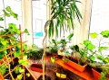 Продава 4-СТАЕН, град София, Мусагеница • 399000 € • 86426615 — Holmes.bg