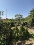 Продава КЪЩА, област Велико Търново, гр. Сухиндол • 15300 € • 71024560 — Holmes.bg