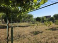Продава  Вила област Плевен , гр. Червен бряг , 90 кв.м | 15315746 - изображение [12]