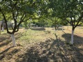 Продава  Вила област Плевен , гр. Червен бряг , 90 кв.м | 15315746 - изображение [5]