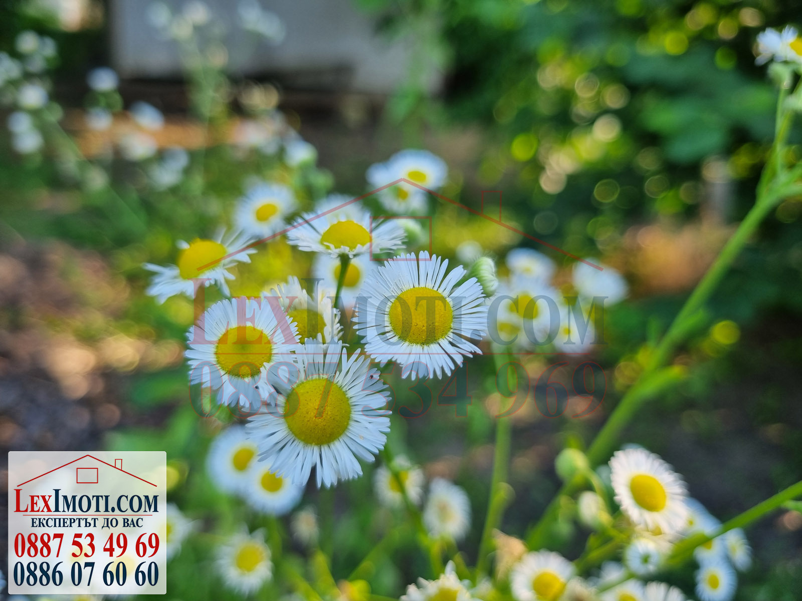 Продава ПАРЦЕЛ | Imot.bg — изображение 17