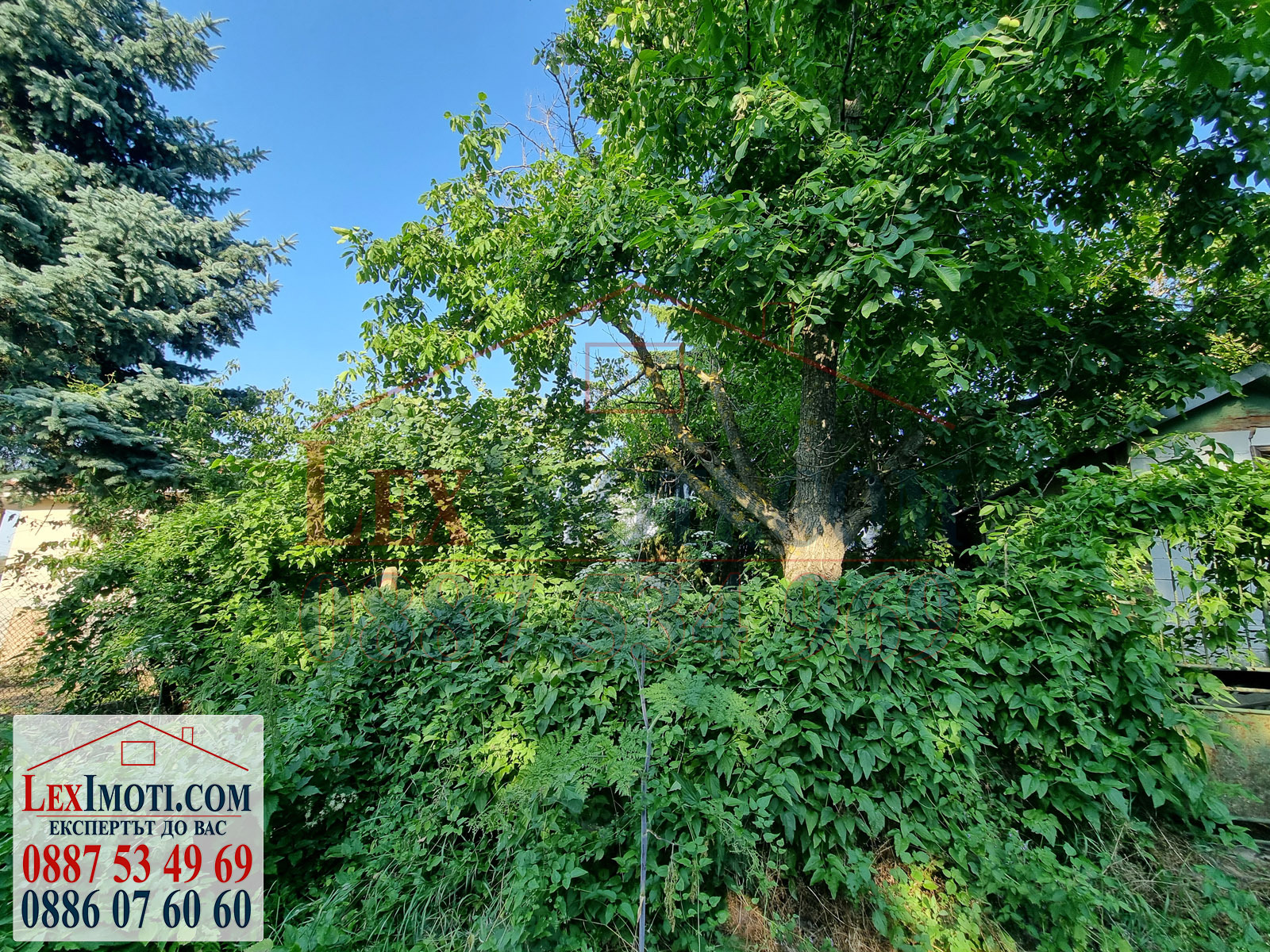 Продава ПАРЦЕЛ | Imot.bg — изображение 3