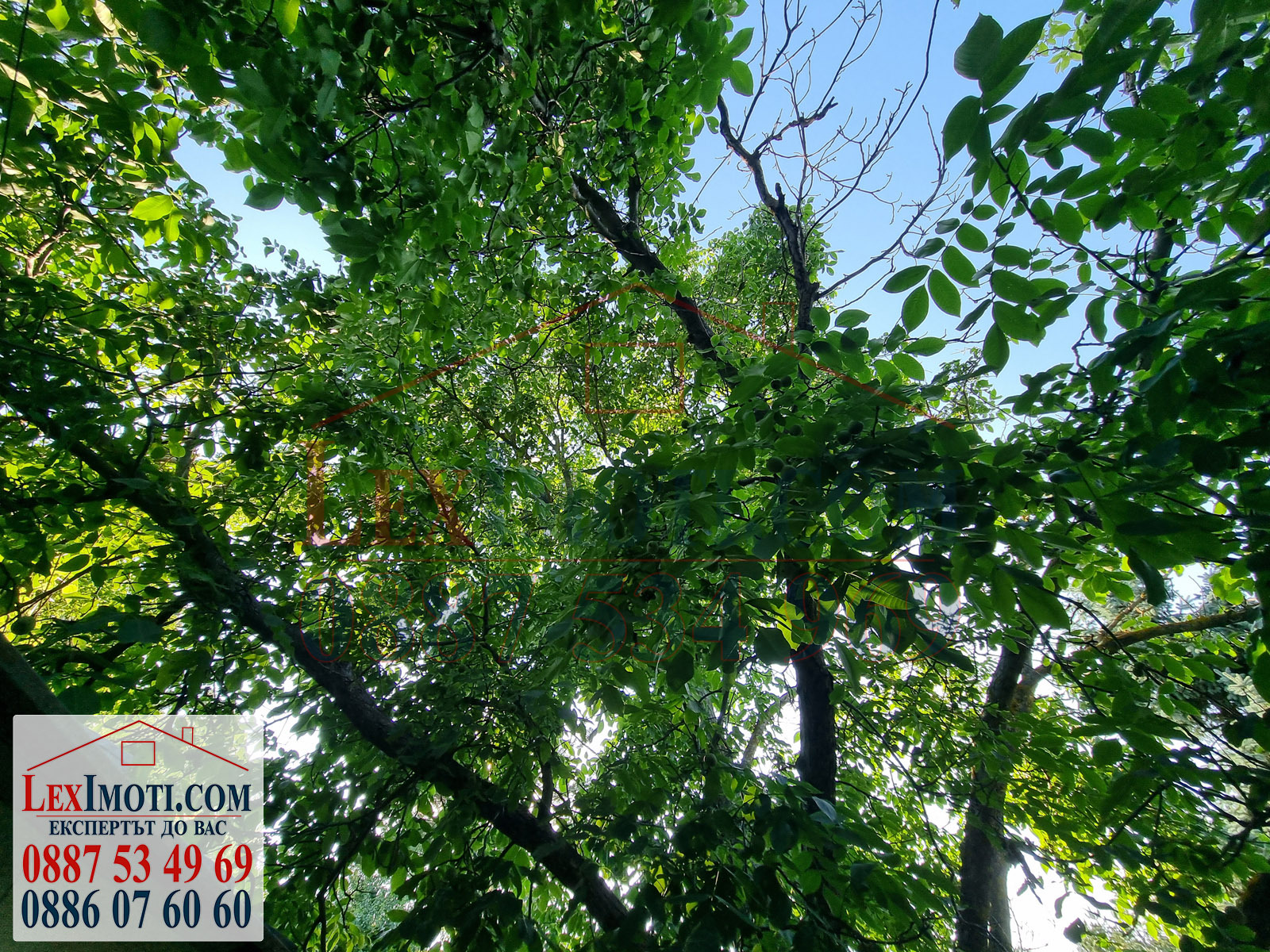 Продава ПАРЦЕЛ | Imot.bg — изображение 6