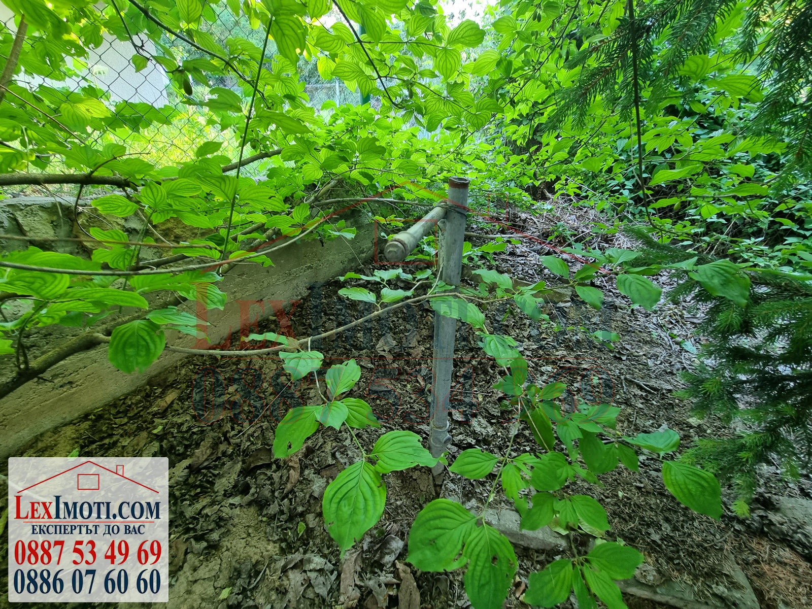 Продава ПАРЦЕЛ | Imot.bg — изображение 10