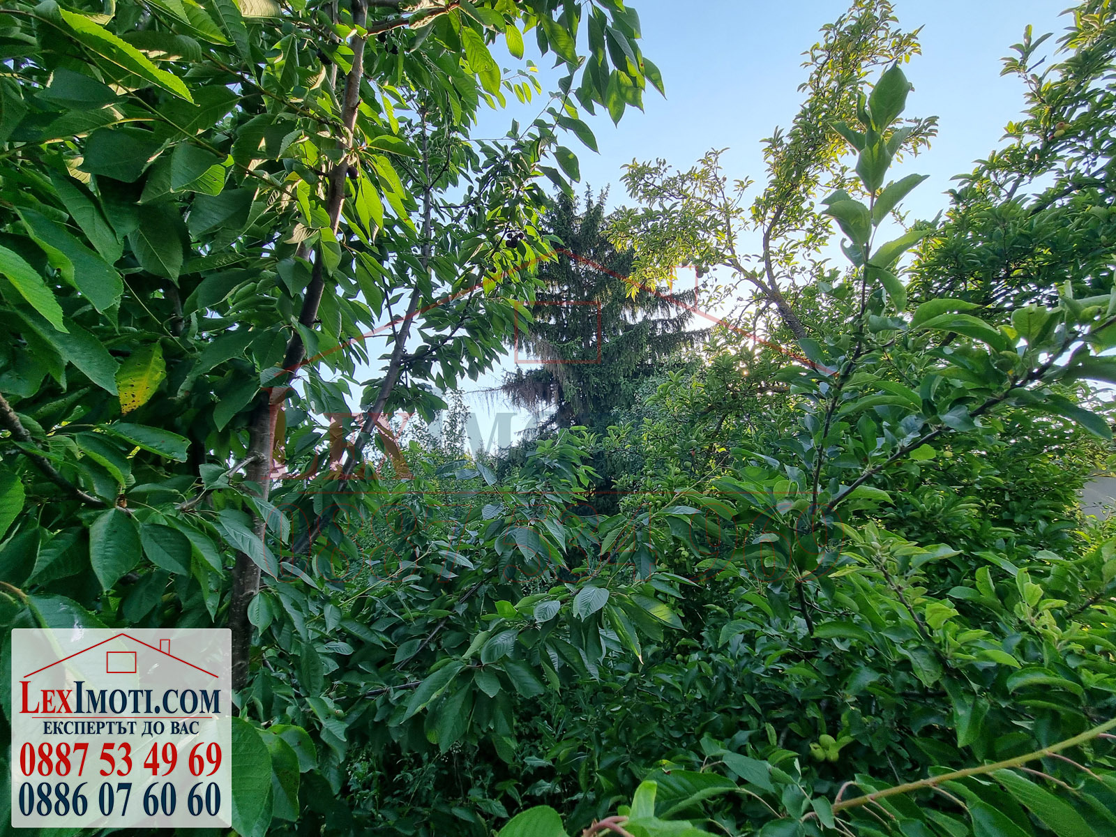 Продава ПАРЦЕЛ | Imot.bg — изображение 12