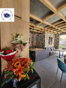 Bar; Caffetteria k.k. Slanchev briag, regione Burgas 14
