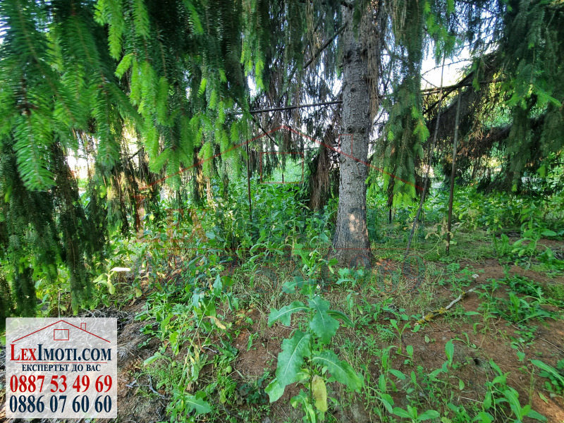 For Sale  Plot region Ruse , Bozhichen , 500 sq.m | 74069790 - image [7]