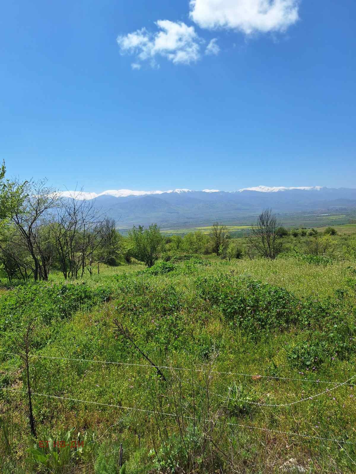 ������� ������ | Imot.bg � ����������� 7