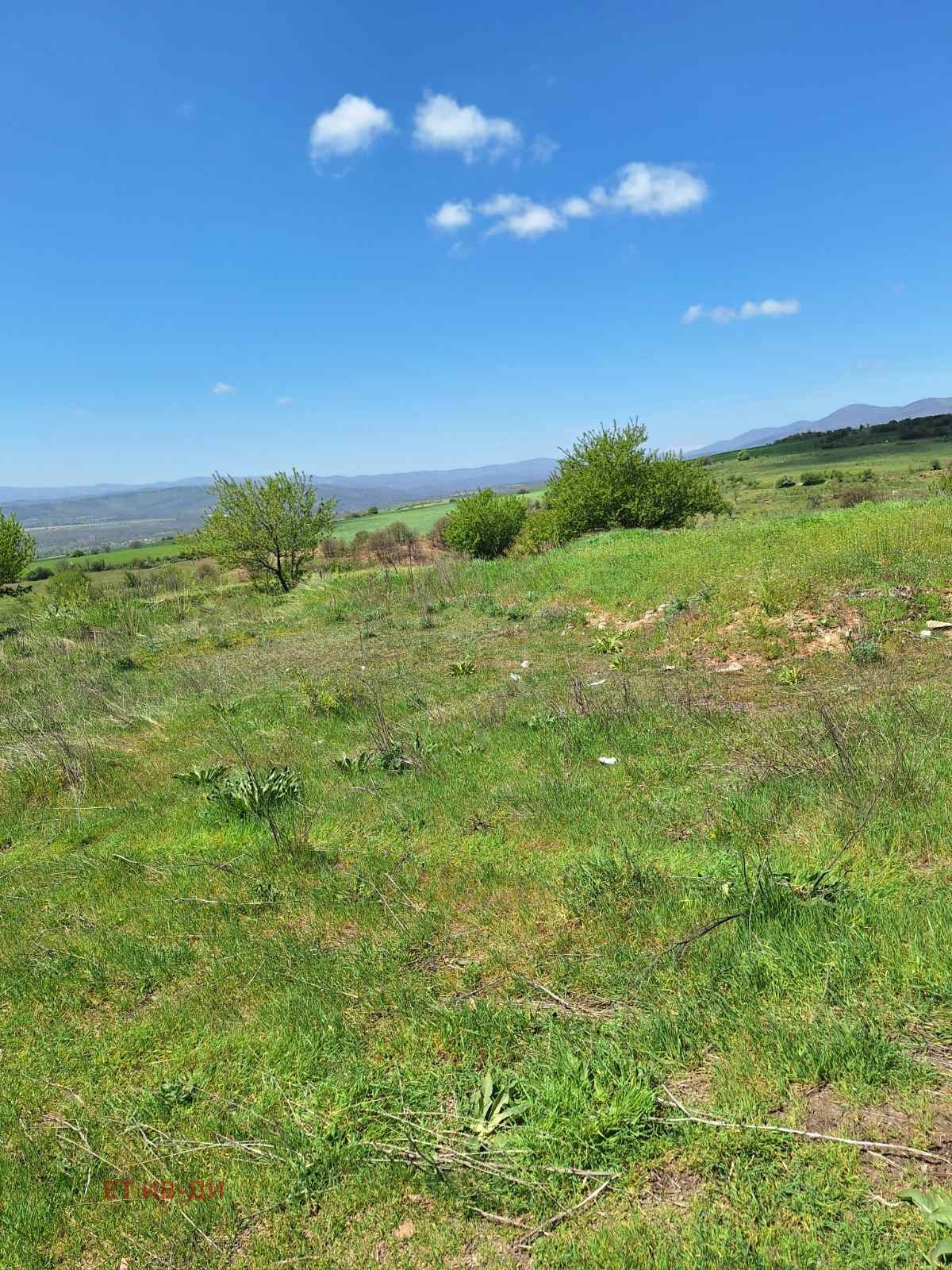 ������� ������ | Imot.bg � ����������� 14