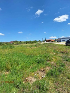 ����� ������� ������,�. ����� ��������, ������ �����