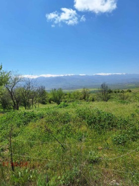 ������� ������ | Imot.bg � ����� ������ 7