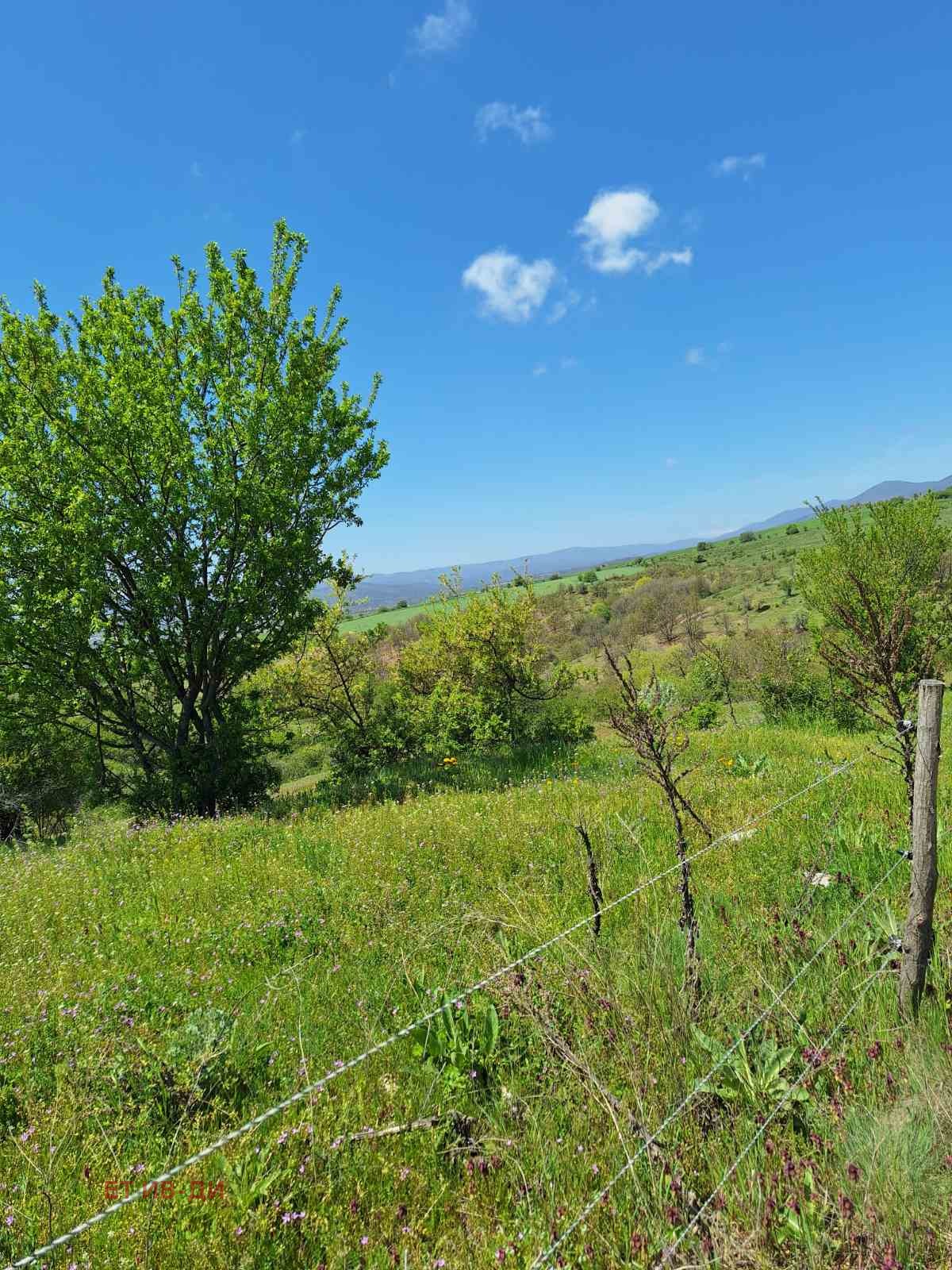 Продава ПАРЦЕЛ, с. Горна Василица, област София област, снимка 5 - Парцели - 54345911