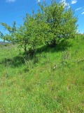 Продава ПАРЦЕЛ, с. Горна Василица, област София област, снимка 6