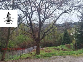 ����� ������� ������,���� �����, �������