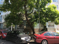Продава МАГАЗИН, град София, Студентски град • 300000 € / 586749.00 лв. • 58903509 1