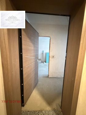 ����� ������� 2-�����,���� �����, �������� ������