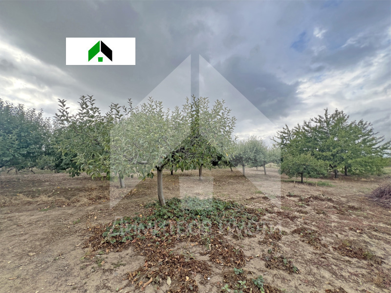 Na sprzedaż  Dom region Szumen , Nowi pazar , 88 mkw | 35375080 - obraz [15]