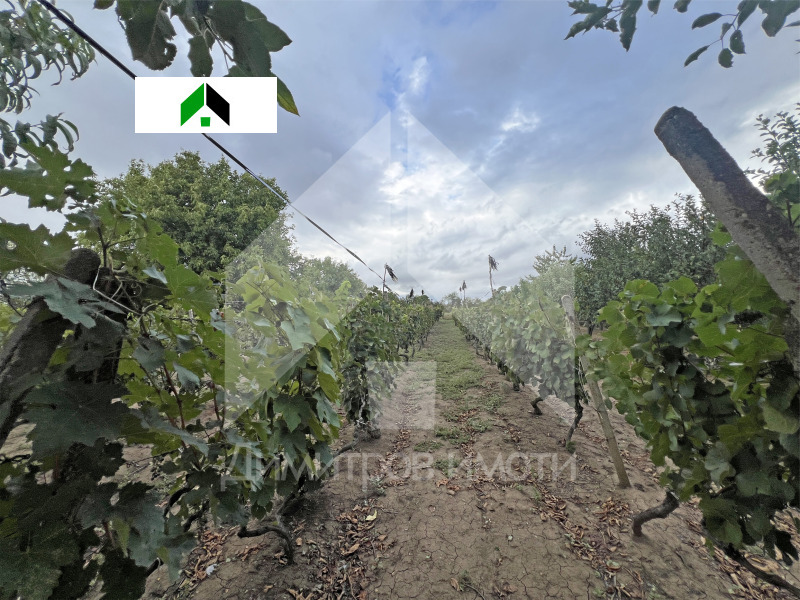 Na sprzedaż  Dom region Szumen , Nowi pazar , 88 mkw | 35375080 - obraz [16]
