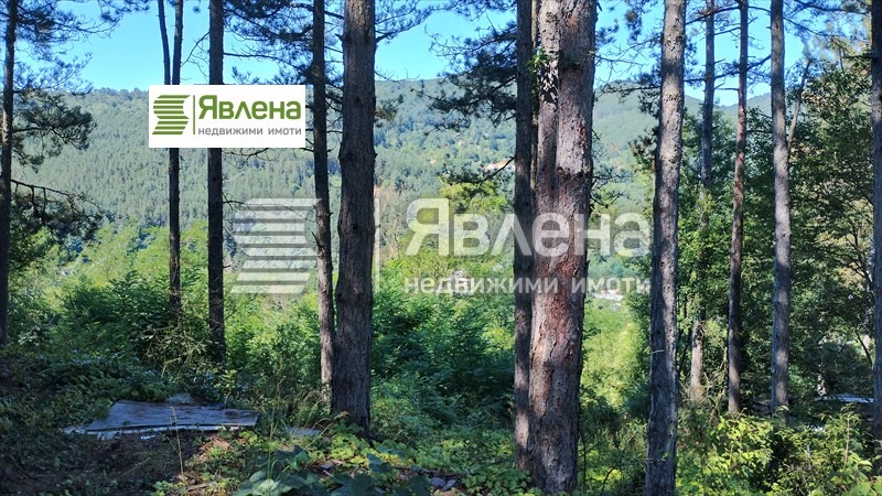 Till salu  Komplott region Sofia , Vlado Tritjkov , 480 kvm | 84829801 - bild [8]