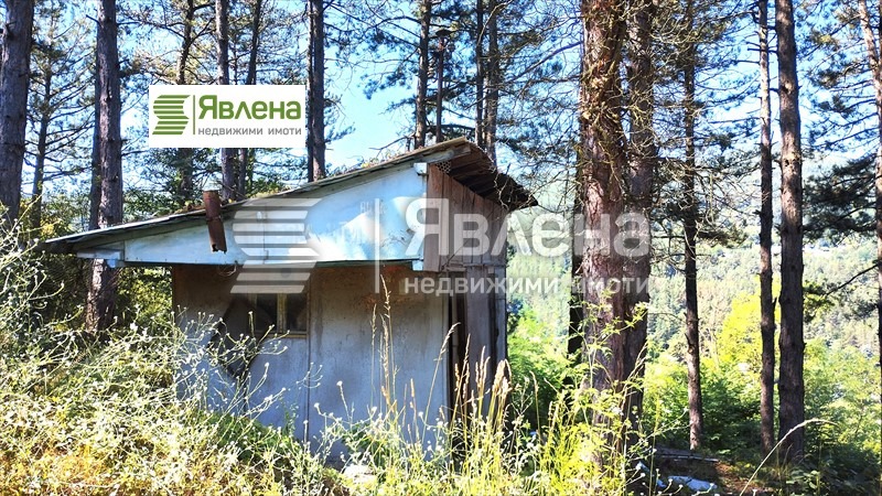 Till salu  Komplott region Sofia , Vlado Tritjkov , 480 kvm | 84829801 - bild [3]