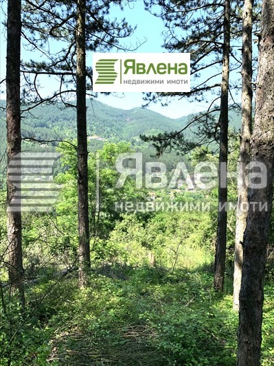 Till salu  Komplott region Sofia , Vlado Tritjkov , 480 kvm | 84829801 - bild [2]