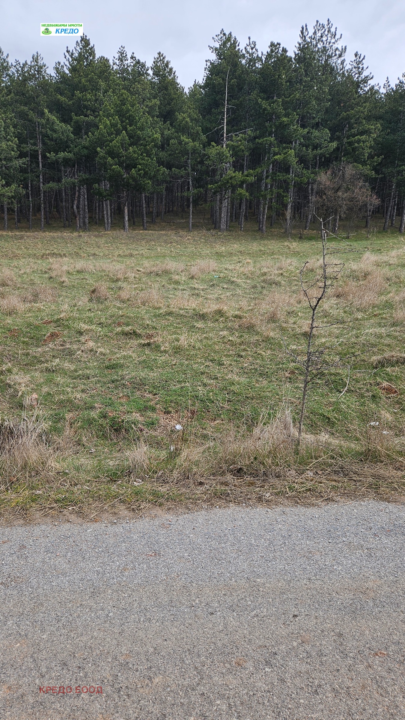 Продава ПАРЦЕЛ, с. Гълъбник, област Перник, снимка 3 - Парцели - 53958696