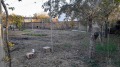 Продава КЪЩА, с. Зимница, област Стара Загора, снимка 16