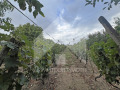 Продава КЪЩА, област Шумен, гр. Нови пазар • 48000 € • 58872193 — Holmes.bg