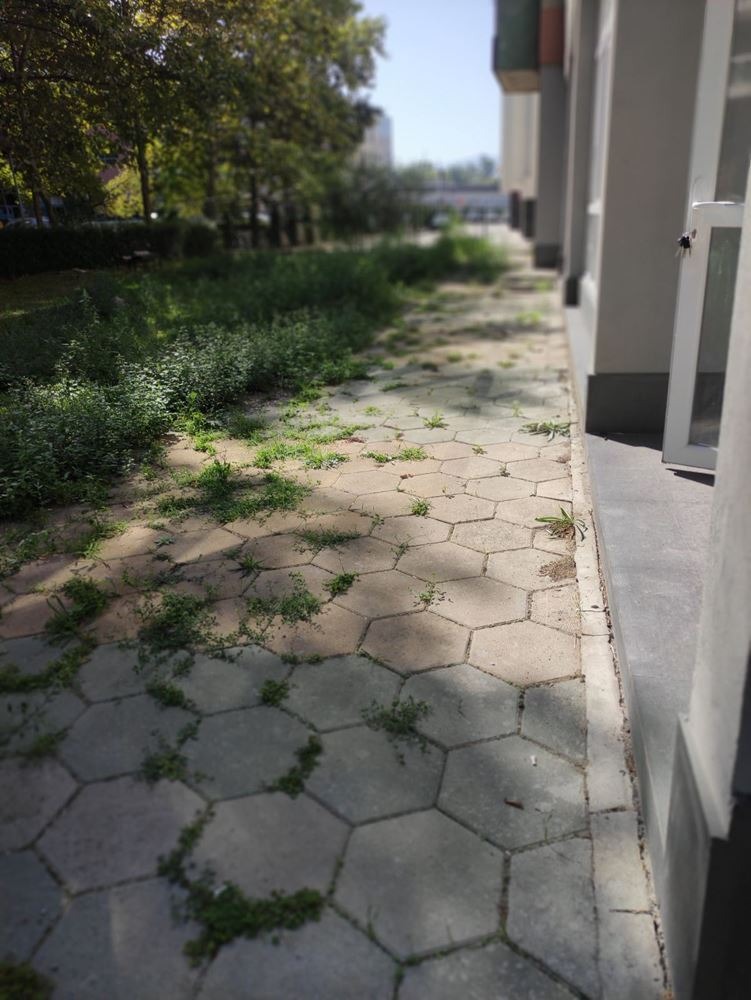 ������� ����. ��������� | Imot.bg � ����������� 14